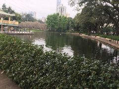 -晓港公园