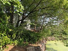 -雨花胜境