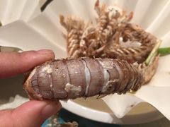 -贴阁碧(百丈东路店)