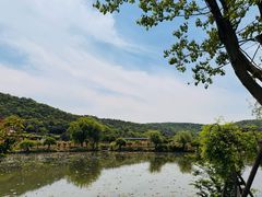 -龙寺生态园