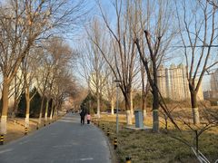 -望湖公园