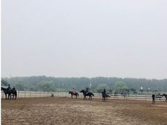 -月河湾马术俱乐部(朝阳店)