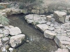 -兰亭风景区