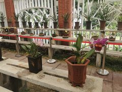 -广州兰圃