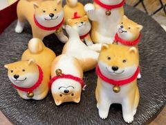 -和它·交个朋友·狗咖猫咖(爱琴海店)