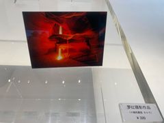 -罗红摄影艺术馆