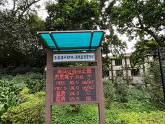 -南宁良凤江国家森林公园