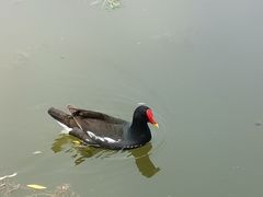 -前关湿地公园