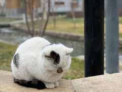 -春风习习