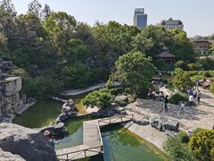 -上海吴淞炮台湾国家湿地公园