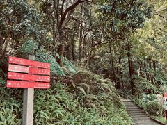 -广州市帽峰山景区