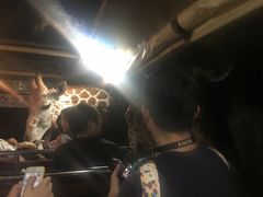 -清迈夜间动物园