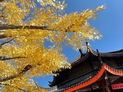 -广东圆玄道观