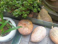 -南堂小馆·川菜馆(德商国际店)