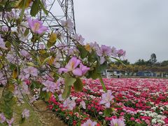 -盈香心动乐园