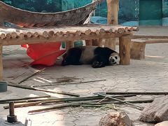 -沈阳森林动物园