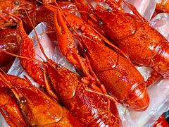 -日食记精菜馆(建邺万达店)