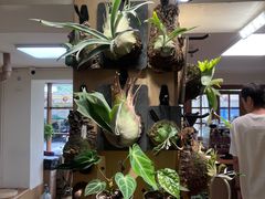 -本無咖啡·BeanWood Coffee