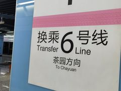 -大龙山(地铁站)