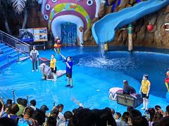 -烟台海昌鲸鲨海洋公园