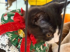 -北京华联购物中心(天通苑店)