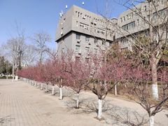-山东师范大学(千佛山校区)