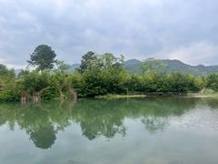 -江南荣村(小溪店)