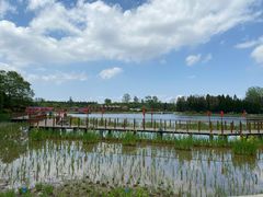 景点-东平国家森林公园