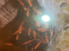 -一桶江山餐厅(松北店)