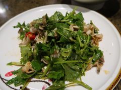 芥末香菜拌螺片-旺达·福州菜(正大广场店)