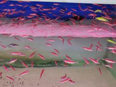 -华声天桥民俗文化园