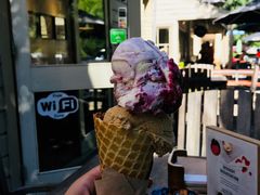 冰淇淋-Patagonia Chocolates(皇后镇店)