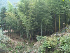 -浙西大峡谷