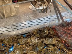 -半岛听涛蒸汽海鲜自助(K11店)