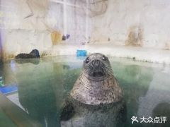 -厦门海底世界