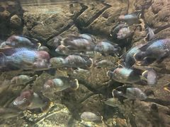 -江和美海洋公园