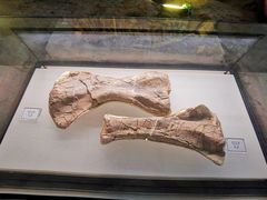 -辽宁古生物博物馆