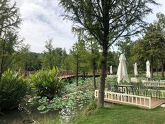 -同里国家湿地公园