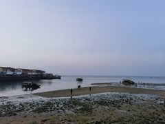 -北海金海湾红树林生态旅游区