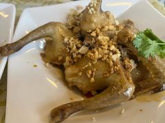 -百利鸽王(紫薇路店)