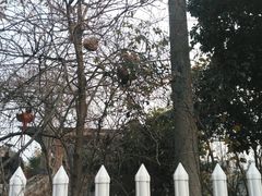 -桃园农庄·桃源宴