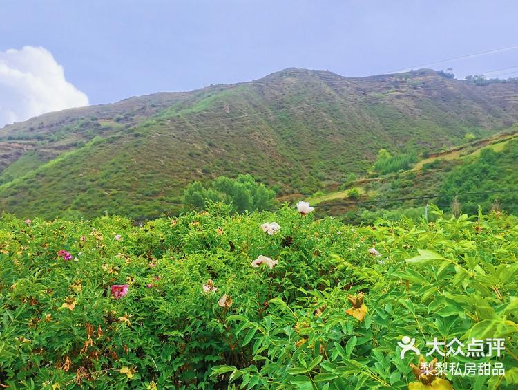大缸生态园～-大众点评