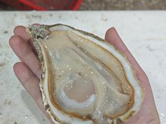 -蚝哥花姐湛江烤生蚝(美丽湾市场店)