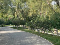 -北坞公园