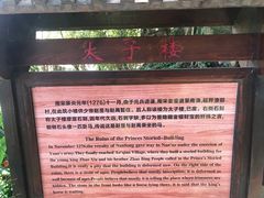-宋井风景区