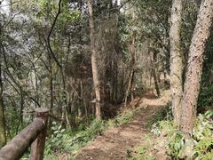 -铁山坪森林公园