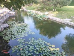 -三里河公园