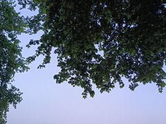 -西湖游船