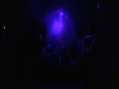 -秃鹫湾·推理大师沉浸式实景演绎推理剧场