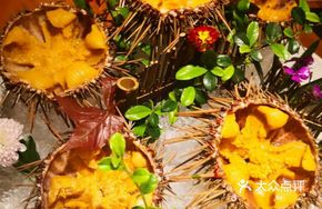 Whole Sea Urchin
